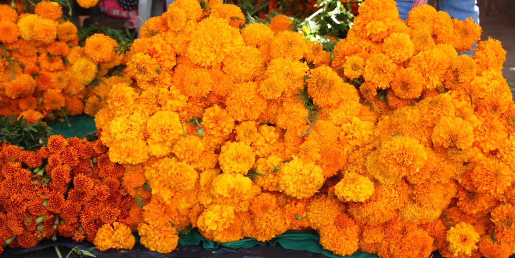 SE INSTALA TIANGUIS TRADICIONAL DE DIA DE MUERTOS EN LA CABECERA MUNICIPAL.