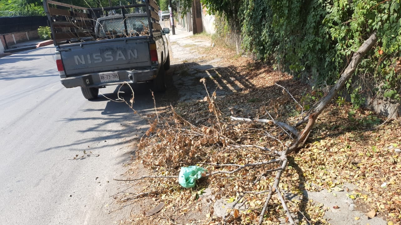 SE REALIZA LIMPIEZA EN CALLES DEL MUNICIPIO.