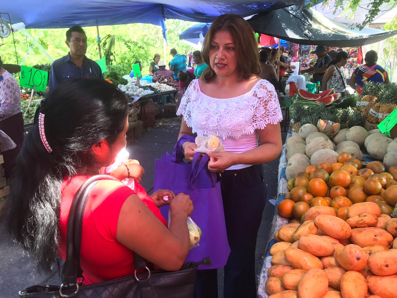 EL DIF MUNICIPAL ENTREGA BOLSAS ECOLÓGICAS 