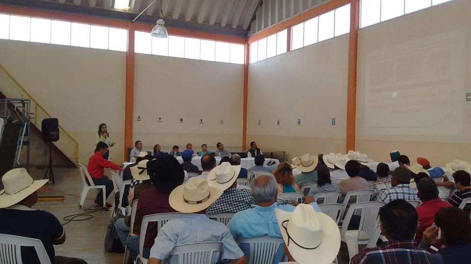 SE REALIZÓ EL TERCER FORO DE CONSULTA CUIDADANA EN TLALTIZAPÁN.