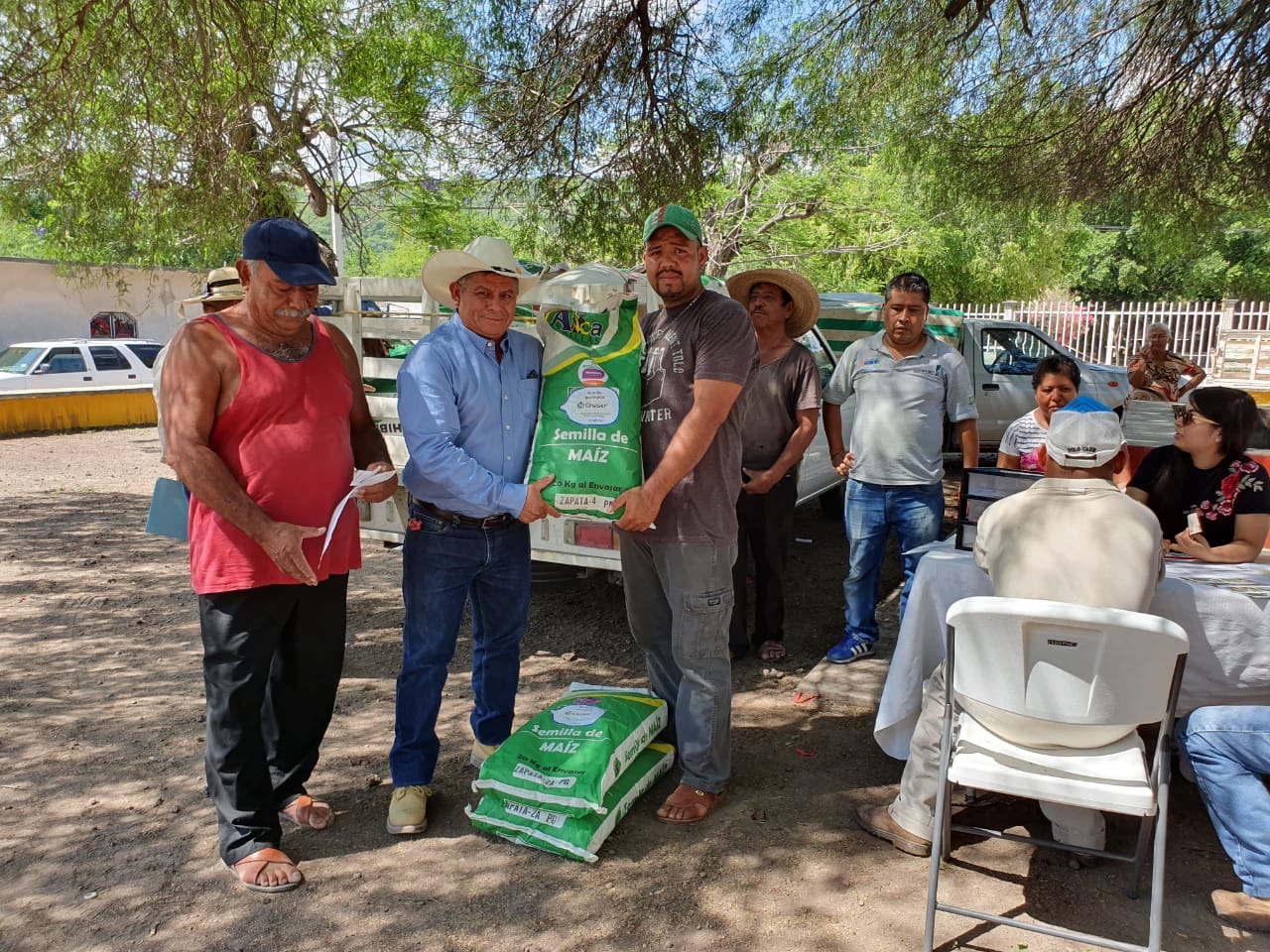 CONTINUA LA ENTREGA DE BOLETAS Y BULTOS DE SEMILLA.