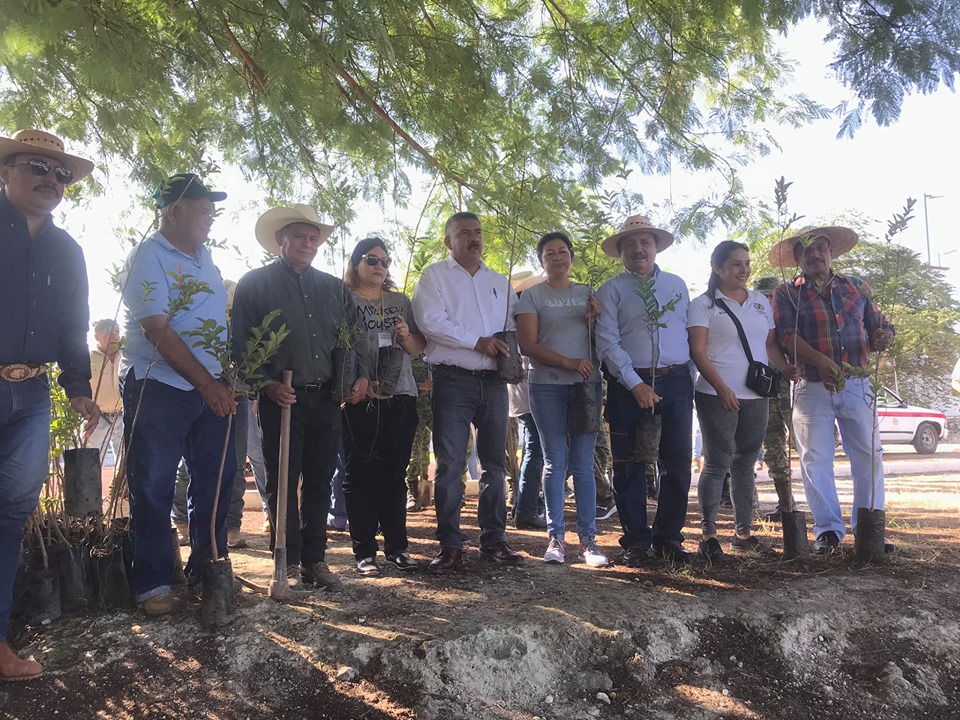 RE FORESTACIÓN EN TODO EL MUNICIPIO DE TLALTIZAPÁN.