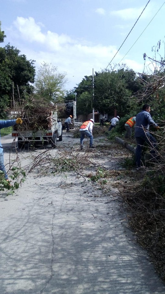 OFICIALIA MAYOR REALIZANDO TRABAJOS EN BENEFICIO DE LA POBLACIÓN.