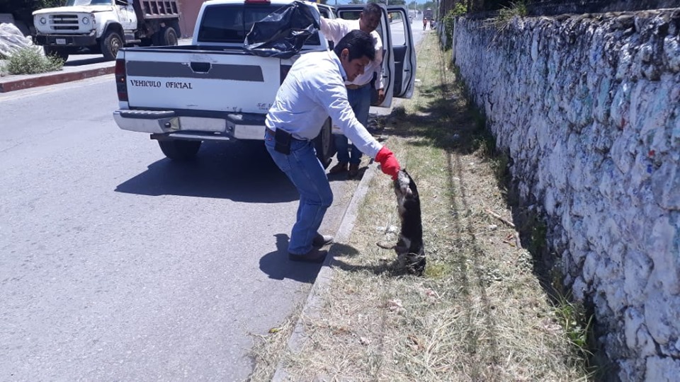 OFICIALIA MAYOR ATENDIENDO LAS SOLICITUDES DE LA CIUDADANÍA.