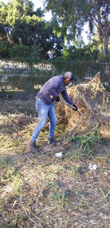 SE LLEVARON A CABO TRABAJOS DE PODA, ORDEN Y LIMPIEZA EN LA PRIMARIA SOFIA VAZQUEZ RAMIREZ.