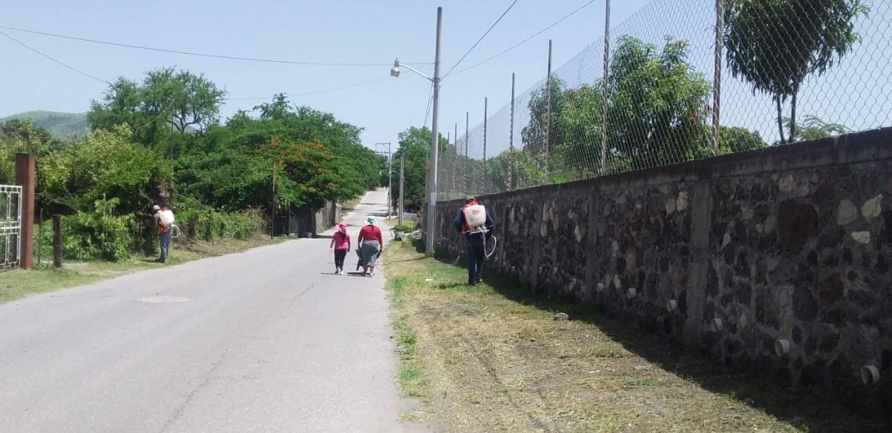 CONTINÚAN TRABAJOS DE LIMPIEZA Y PODA DE ARBOLES EN LA COMUNIDAD DE AMADOR SALAZAR.