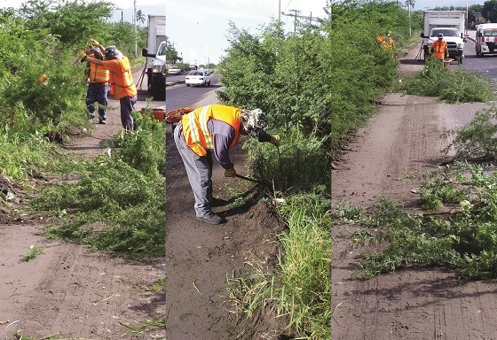 CONTINÚAN TRABAJOS DE LIMPIEZA EN EL BOULEVARD SAN MIGUEL TREINTA-MIRADOR.