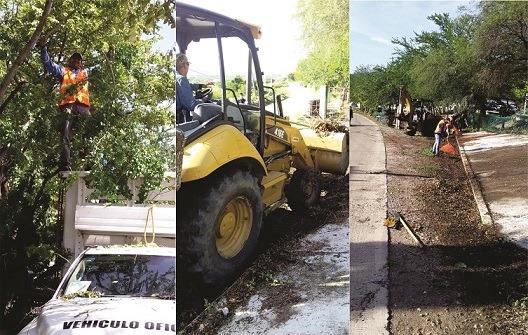 SEGUIMOS TRABAJANDO EN LA LIMPIEZA DE MALEZA A ORILLAS DE LAS CARRETERAS.