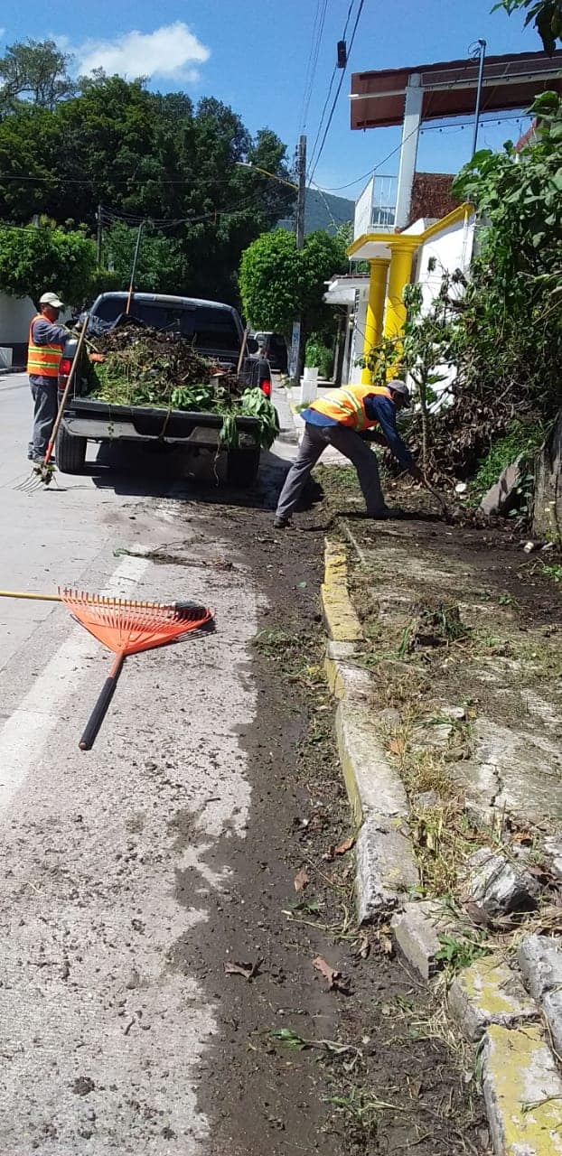 SEGUIMOS TRABAJANDO EN LA LIMPIEZA DE MALEZA SOBRE BANQUETAS Y CALLES.