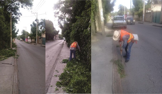 SEGUIMOS TRABAJANDO EN LA LIMPIEZA DE MALEZA A ORILLAS DE LAS CALLES.