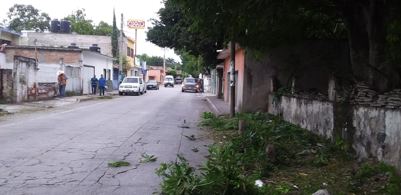 LIMPIEZA DE MALEZA A ORILLAS DE LAS CALLES DEL MUNICIPIO. 