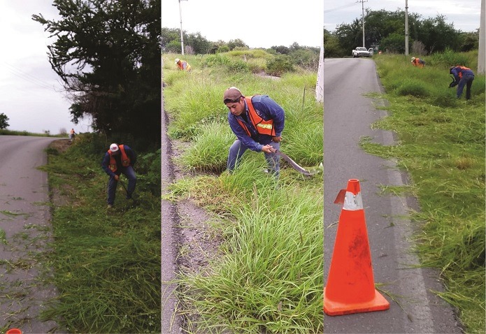 CONTINUAMOS CON LA LIMPIEZA DE MALEZA A ORILLAS DE CARRETERAS.