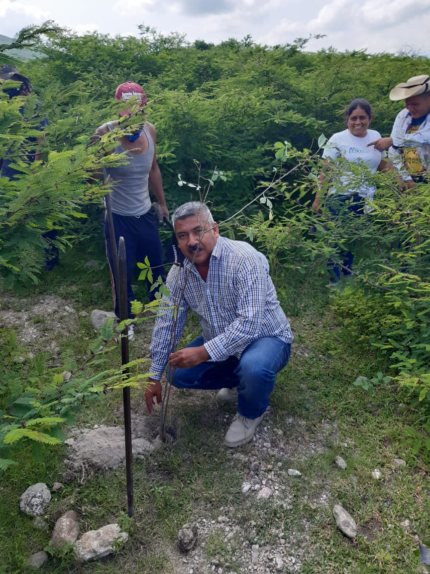 REFORESTACIÓN Y VISITA A LA SIERRA MONTENEGRO.