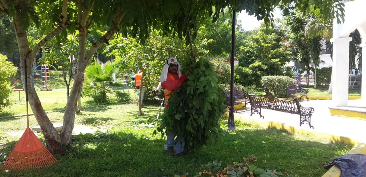 SEGUIMOS TRABAJANDO EN LA LIMPIEZA DE MALEZA. 