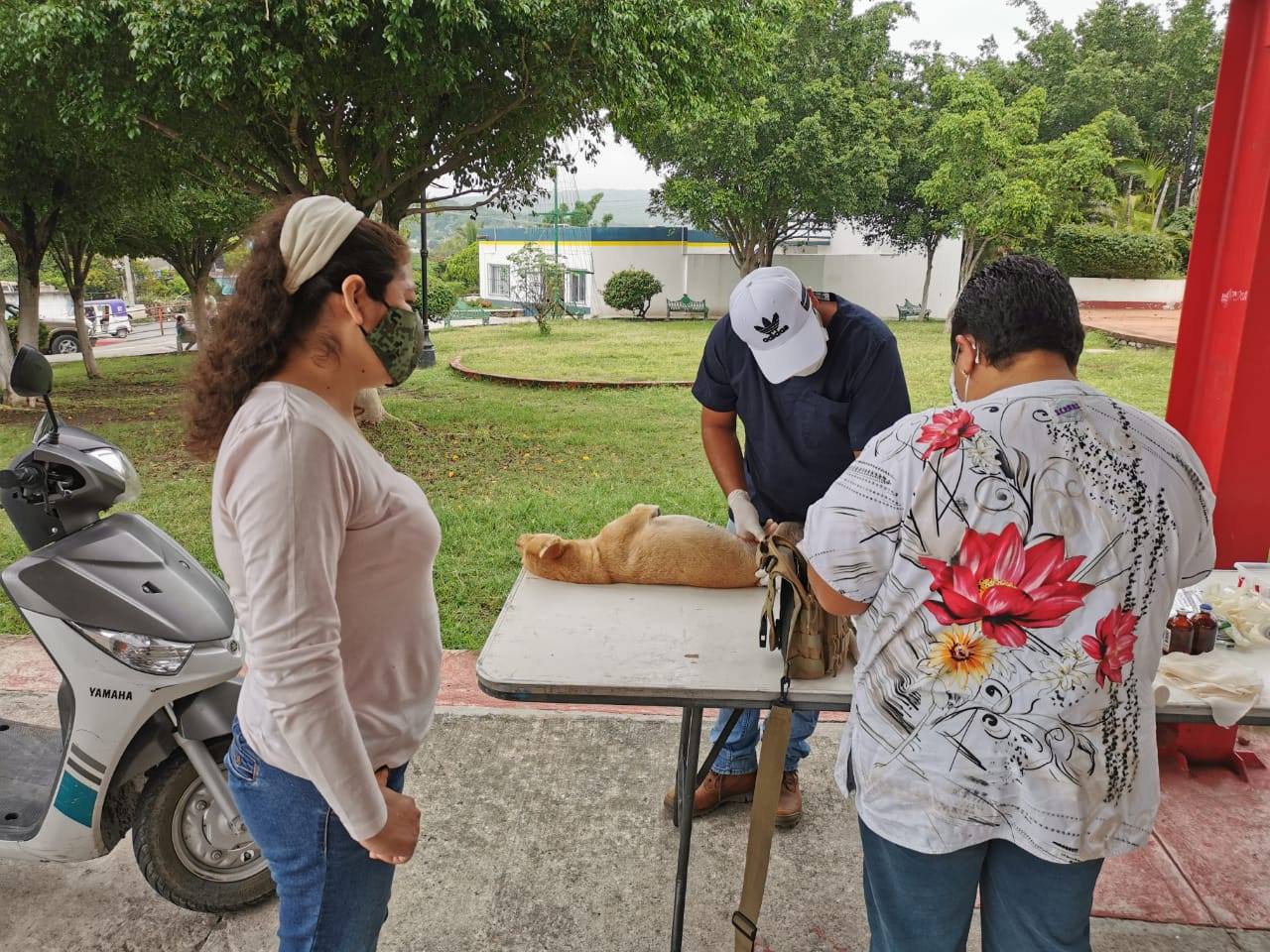 CAMPAÑA DE ESTERILIZACIÓN CANINA Y FELINA EN SANTA ROSA TREINTA.