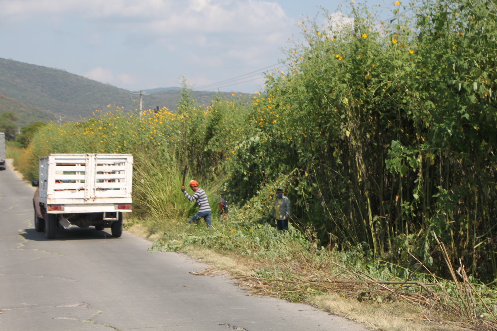 LIMPIEZA DE MALEZA A ORILLAS DE CARRETERA.