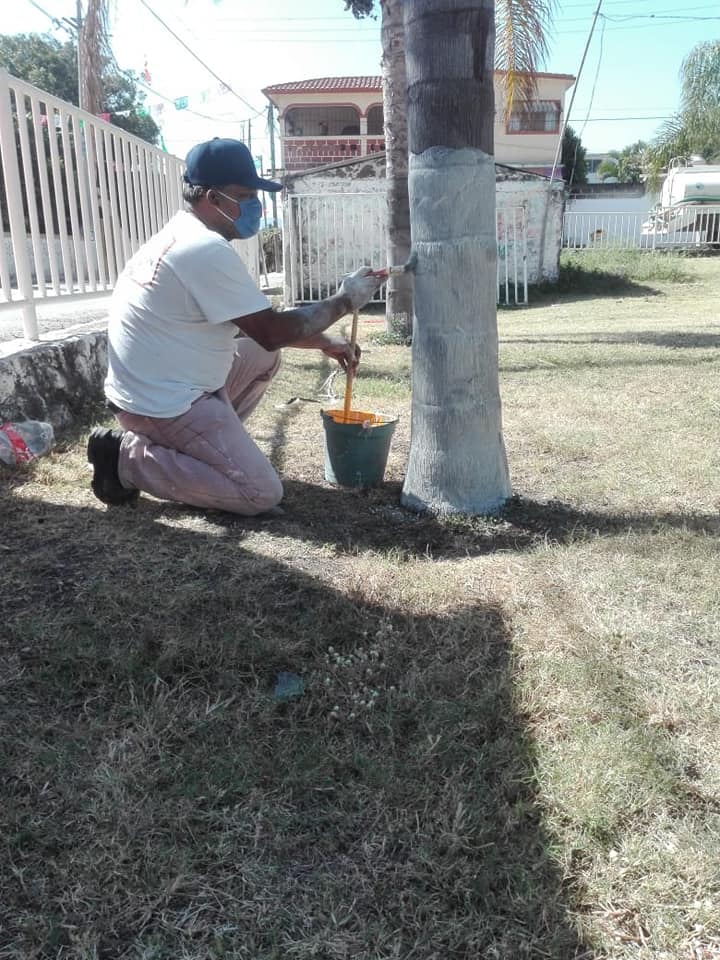 TRABAJOS DE PINTURA EN LA COMUNIDAD DE BARRANCA HONDA.