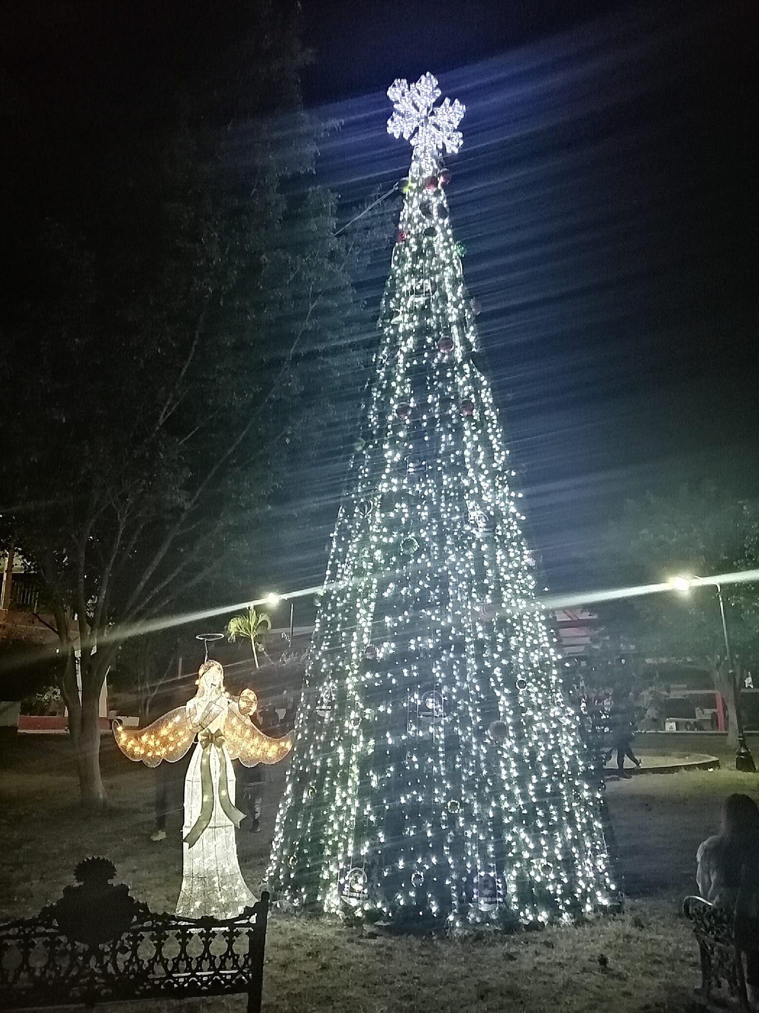 ENCENDIDO DEL ÁRBOL NAVIDEÑO EN SANTA ROSA TREINTA.